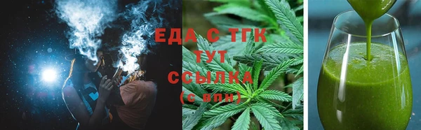 дмт Ельня