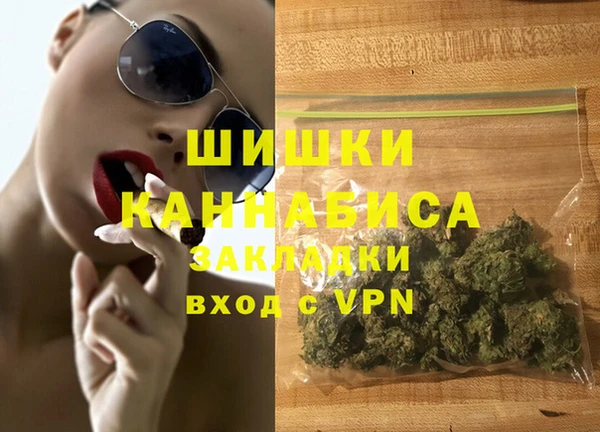 дмт Ельня