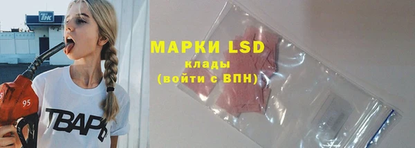дмт Ельня