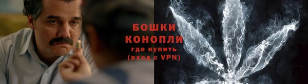 дмт Ельня