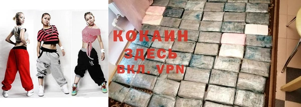 дмт Ельня