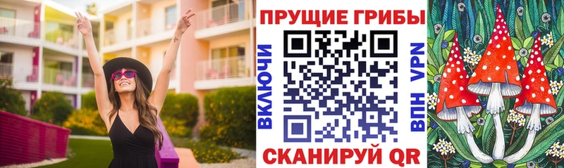 Псилоцибиновые грибы GOLDEN TEACHER  Купить где  Мирный 